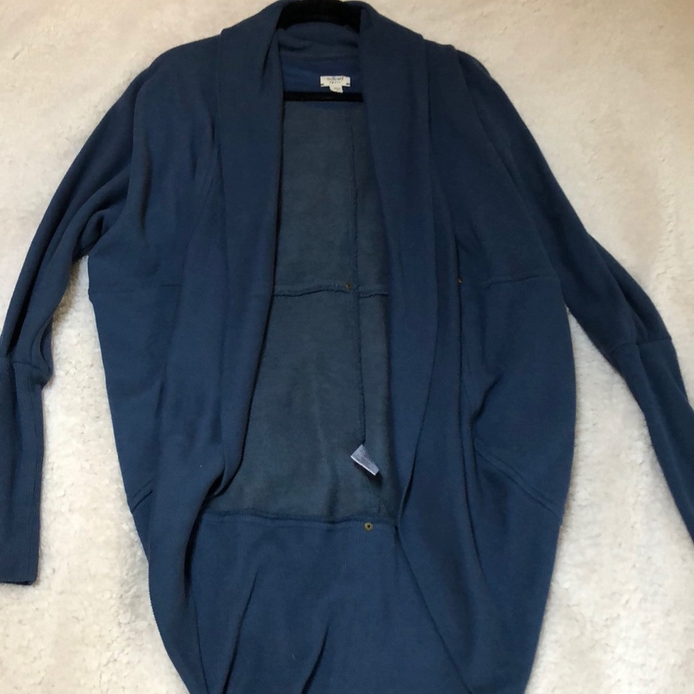 Blue Aritzia “Diderot sweater”